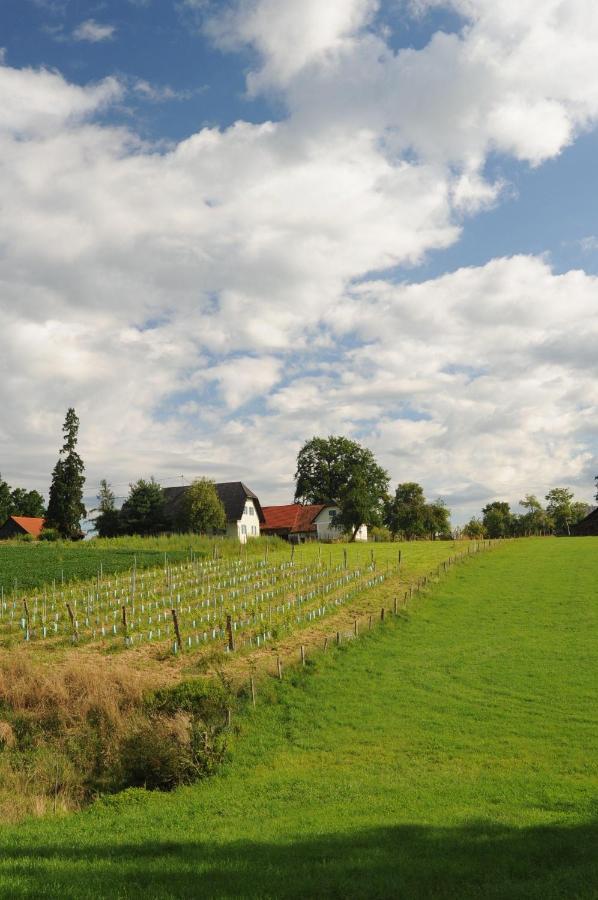 SulbKellerstoeckl-Am-Veganen-Bio-Lebenshof-Nur-Fuer-Hundefreunde-Empfohlen别墅 外观 照片